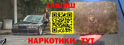 крисы Новодвинск